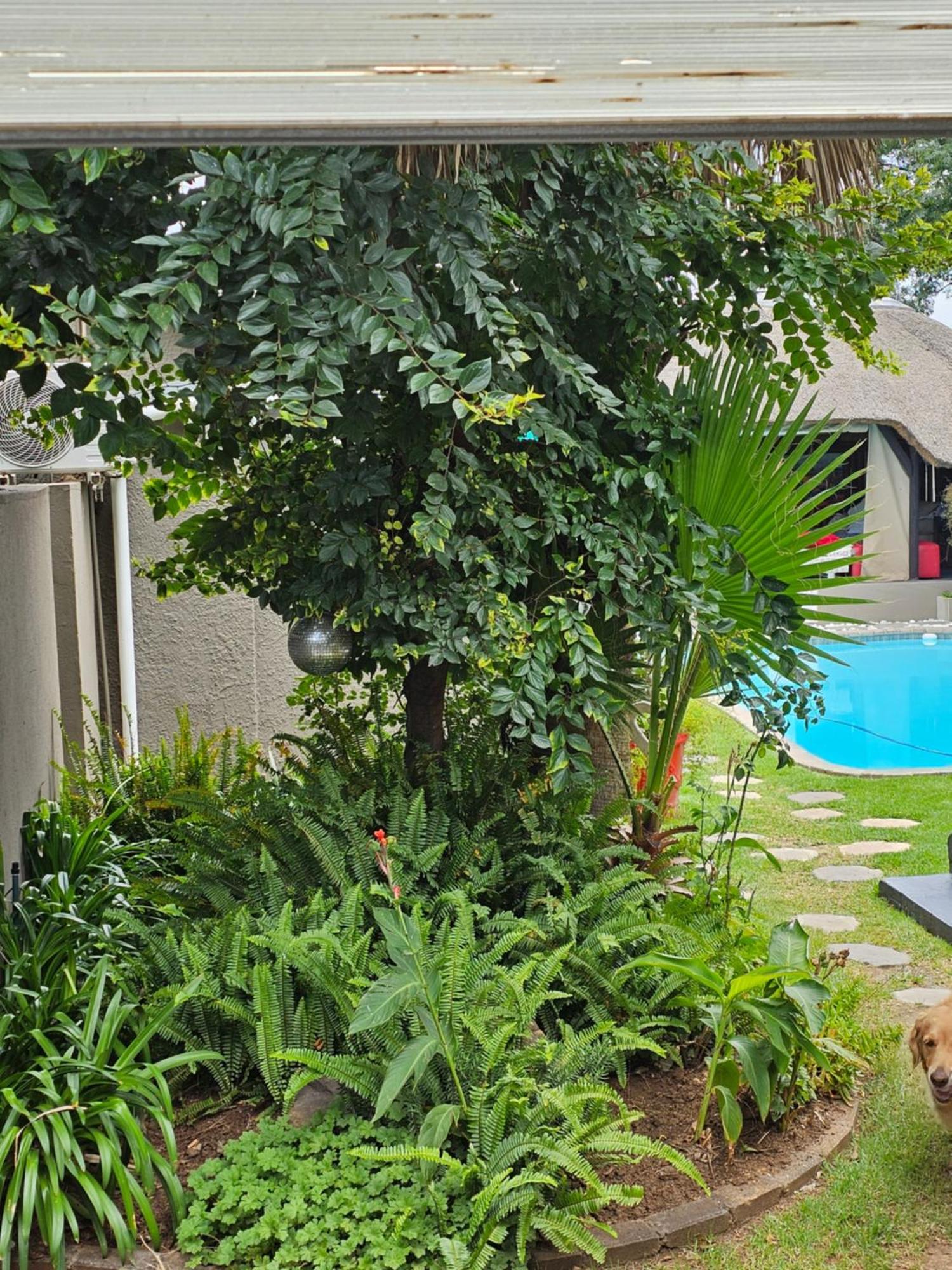 The Armagh Guesthouse Boksburg Esterno foto